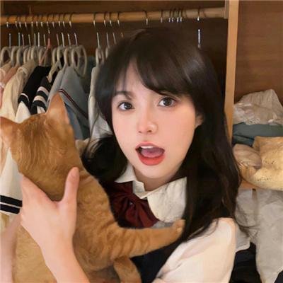 狗的审判